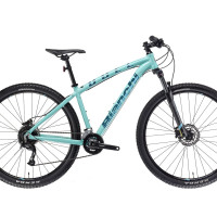 Bianchi Alivio Duel 29S